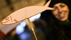 Sardinen-Bewegung: "Wir können die Lügen der Politiker beenden"