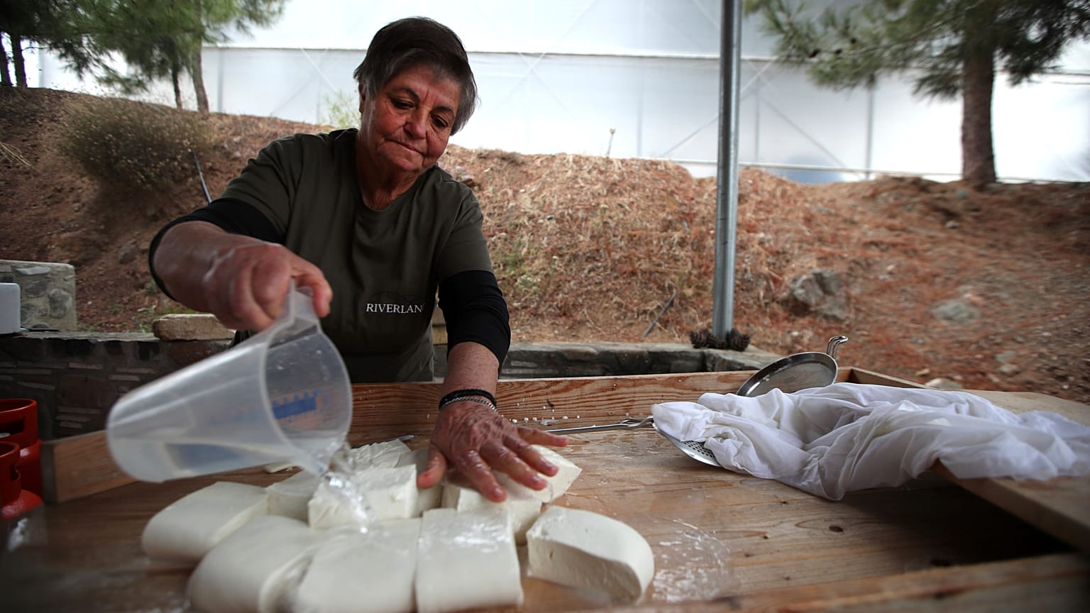 Cipro, 6.000 tonnellate di formaggio invenduto causa Covid