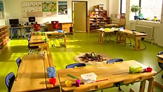 В Австрии из-за гриппа закрывают школы