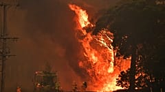 A fire truck is seen during a bushfire near Bilpin, 90km north west of Sydney, Thursday, December 19, 2019. (AAP Image/Mick Tsikas) NO ARCHIVING