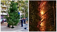 Το χριστουγεννιάτικο δέντρο στα Εξάρχεια άντεξε μόνο λίγες ώρες