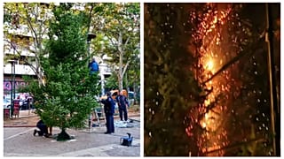 Το χριστουγεννιάτικο δέντρο στα Εξάρχεια άντεξε μόνο λίγες ώρες