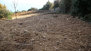İtlaf edilen atlar kireç dökülerek gömüldü, Adalar