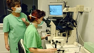 Fenyvesi Beáta embriológus mesterséges megtermékenyítést végez egy régebbi műszeren, mögötte Kanyó Katalin vezető biológus.