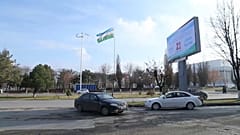 Выборы в "стране года"