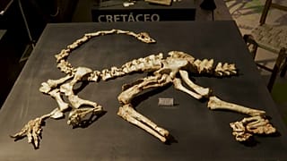 O Parque Triássico do Brasil