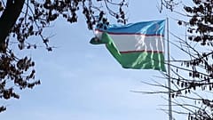 Usbekistan vor den Wahlen: Zwischen Reformen und Repression