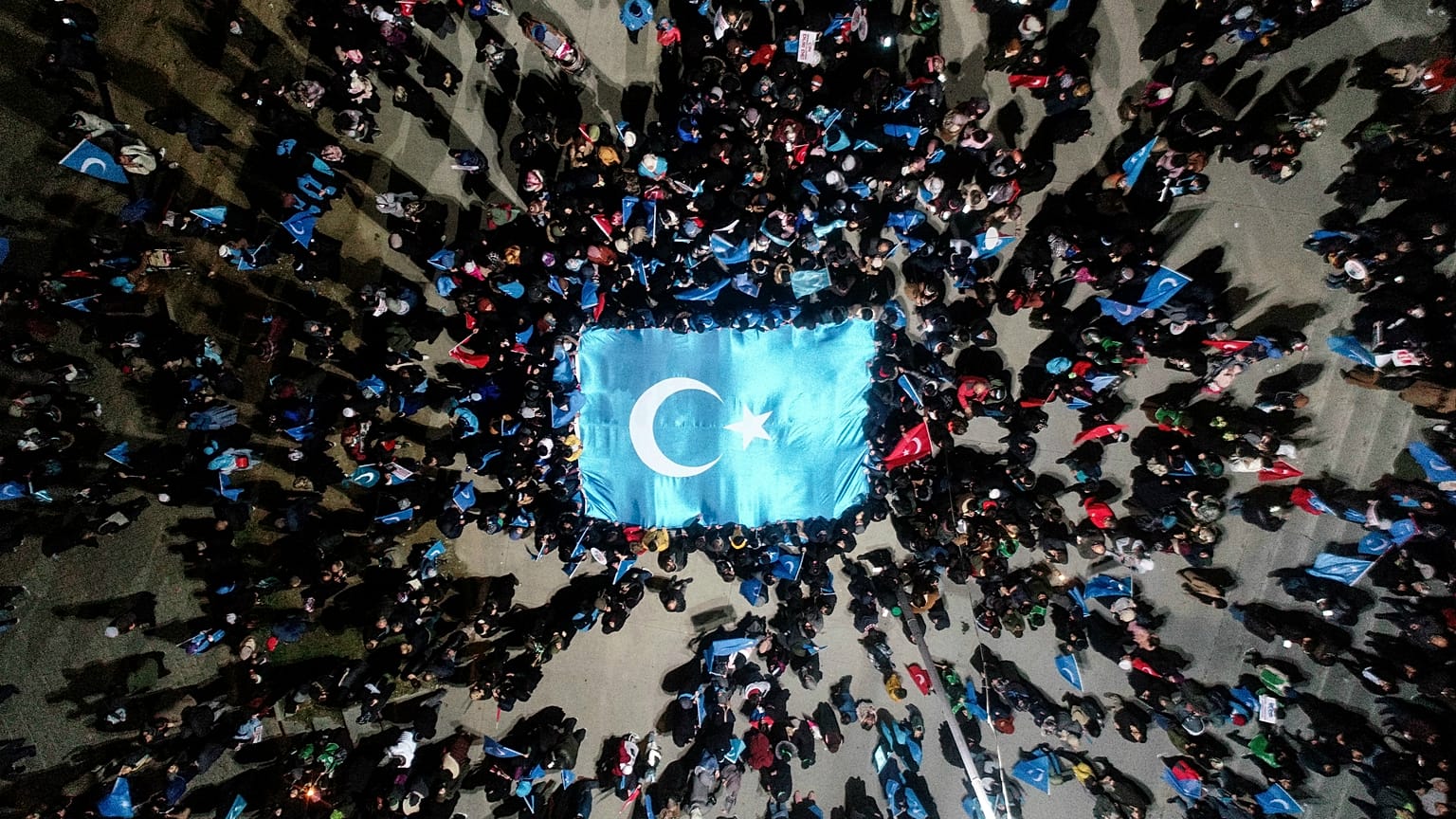 Doğu Türkistan bayrağı