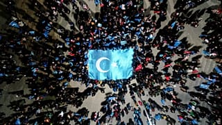 Doğu Türkistan bayrağı