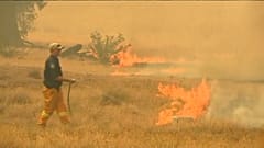 Wildfires are raging across Australia