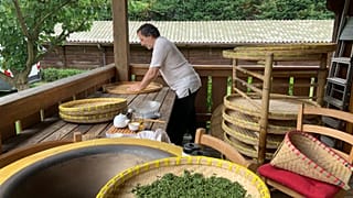 Buona la prima! Il Tè Nero del Verbano sbanca tutto in Cina