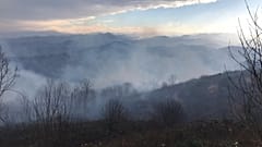 Trabzon'un 11 ilçesinde 37 noktada çıkan örtü yangınlarından 30'unun söndürüldüğü, üç ilçede 6 evin yangınlarda zarar gördüğünü bildirildi