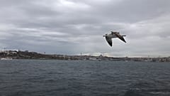 İstanbul Boğazı