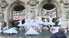 Streikende Schwäne in Paris