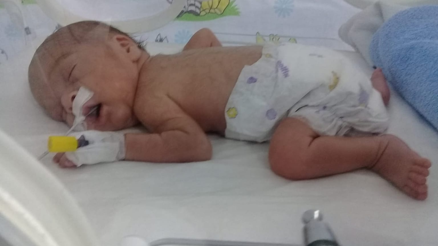 Ermenistan’da bebek ticareti skandalı: "Uyuşturucu mafyasından daha güçlü"