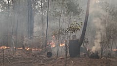 Avustralya’da Sydney'in su ihtiyacını karşılayan baraj, orman yangınları yüzünden tehdit altında