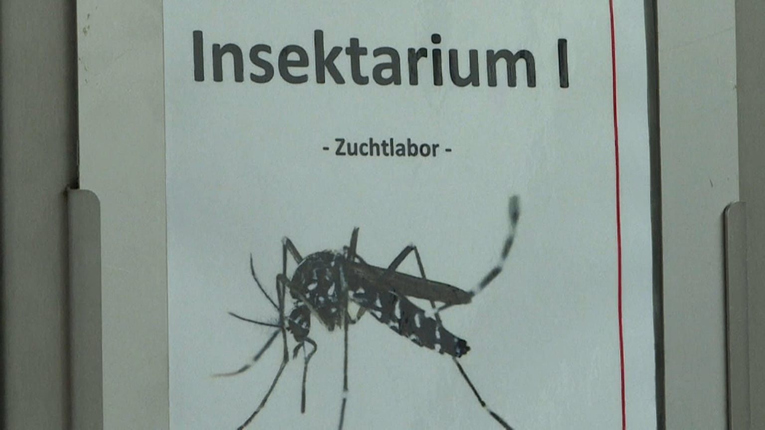 À la découverte Riems, "l'Alacatraz aux virus", dans le nord de l'Allemagne
