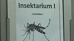 À la découverte Riems, "l'Alacatraz aux virus", dans le nord de l'Allemagne