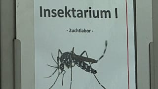 À la découverte Riems, "l'Alacatraz aux virus", dans le nord de l'Allemagne