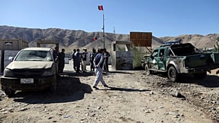 عکس تزيینی است