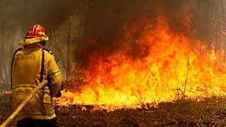 Immer mehr Buschfeuer außer Kontrolle