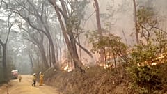 L'Australia brucia ancora, ma Sidney non rinuncia ai fuochi d'artificio