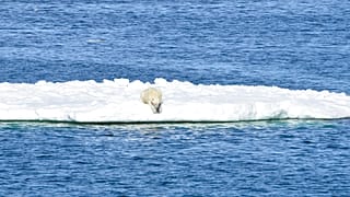 Rusya meteoroloji kayıtlarına yansıyan en sıcak yılını yaşadı