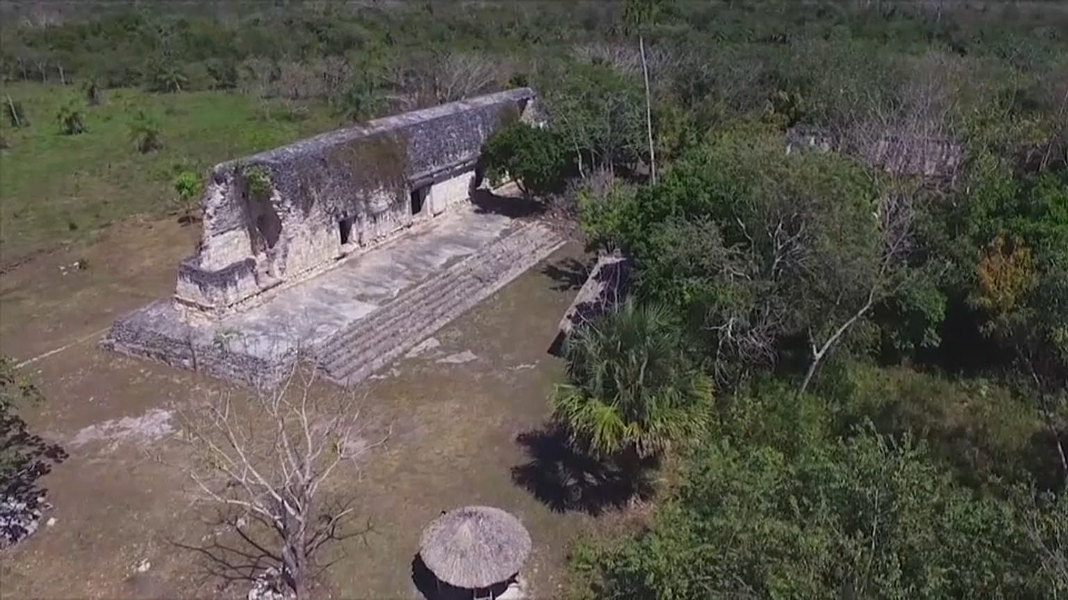 Messico: scoperto nella giungla un misterioso palazzo Maya