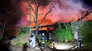 Zoo Krefeld: Mögliche Brandverursacher stellen sich