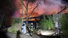 Incêndio no Zoo de Krefeld mata mais de trinta animais