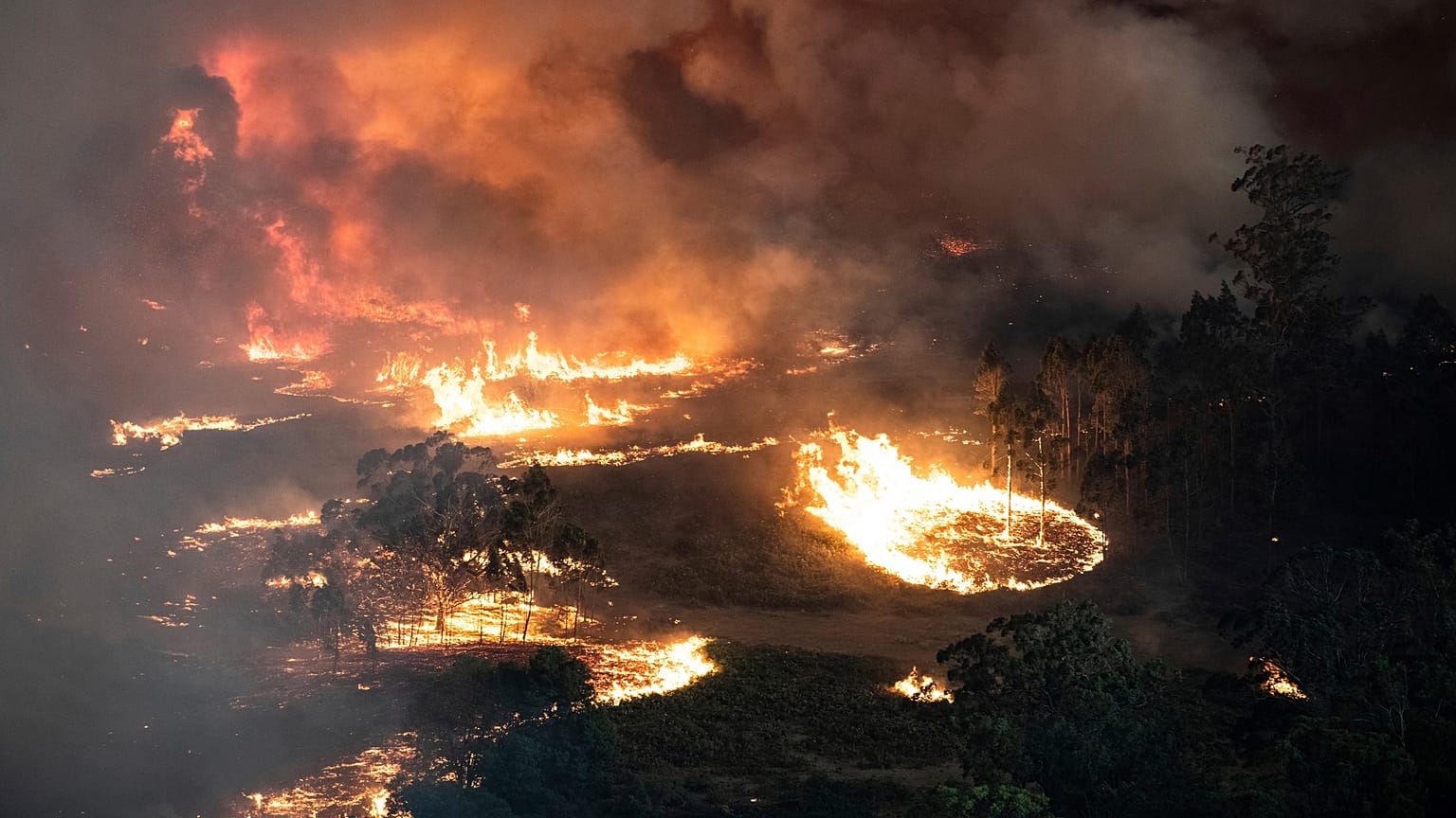Las trágicas cifras e imágenes de los incendios forestales en Australia