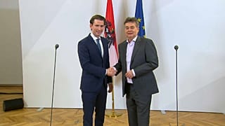 Австрийские консерваторы "позеленели"