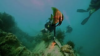 Geldstrafe seit dem 1.1.: Palau hat Sonnencremes verboten