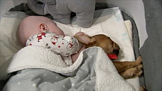 Mascotas como terapia para niños enfermos