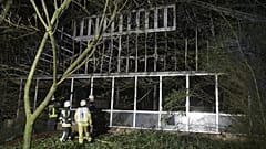 Strage di scimmie allo zoo: le colpevoli si presentano alla polizia