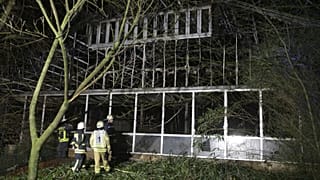 Strage di scimmie allo zoo: le colpevoli si presentano alla polizia