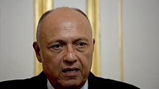O υπουργός Εξωτερικών της Αιγύπτου, Σαμέχ Σούκρι