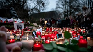 Flowers and candles left at a makeshift memorial site in front of the burned-out monkey house at Krefeld Zoo