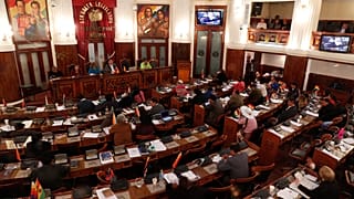 Bolivya'da iptal edilen başkanlık seçimleri 3 Mayıs'ta genel seçimlerle birlikte düzenlenecek
