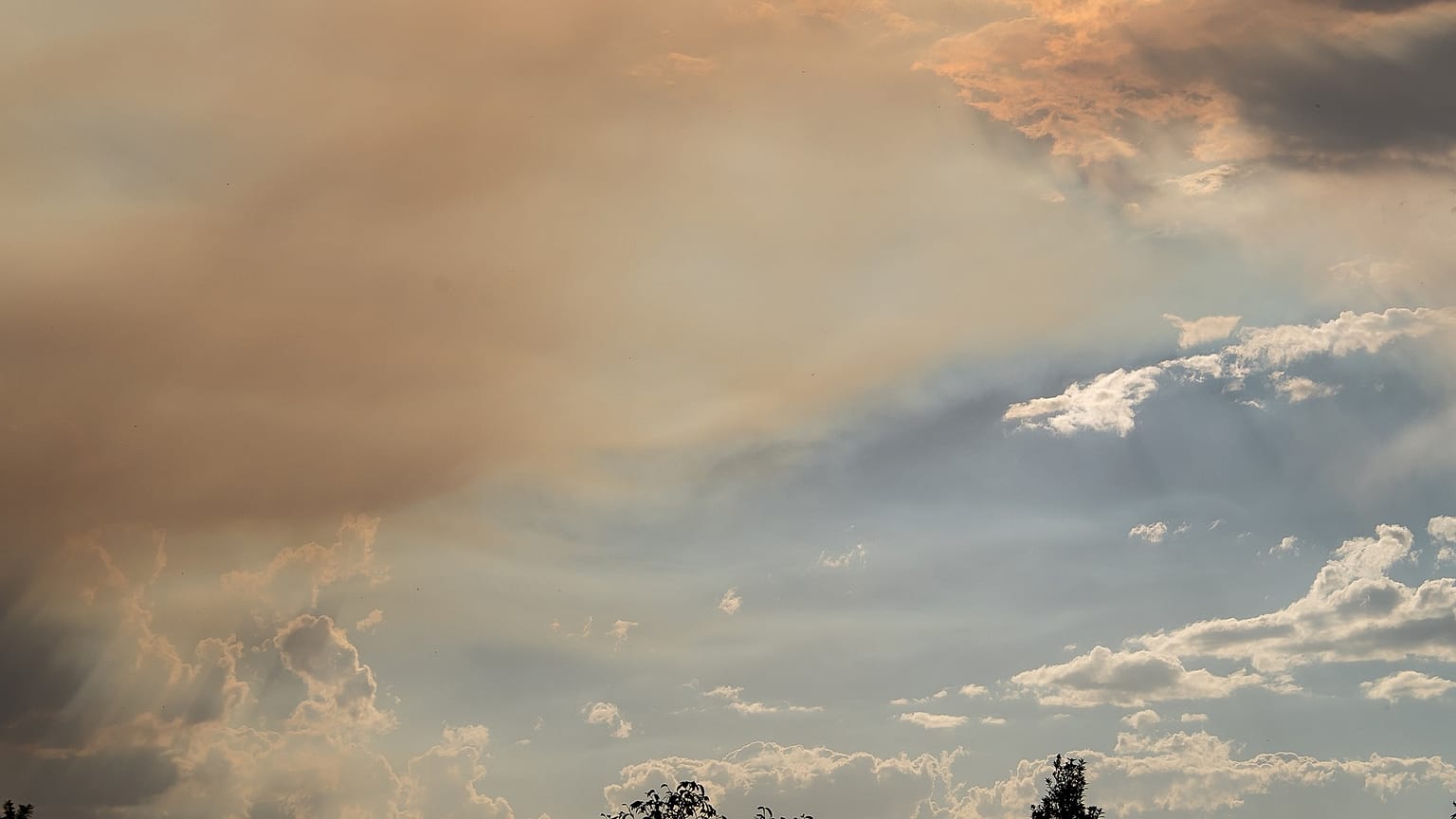 13 heartwarming and heartbreaking tweets from the Australian wildfires