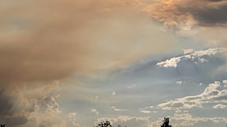 13 heartwarming and heartbreaking tweets from the Australian wildfires
