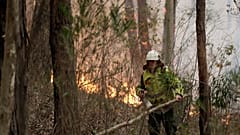 Κινδυνεύει η μοναδική πανίδα της Αυστραλίας