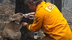 Australianos protestam contra a forma como o Governo tem gerido os fogos