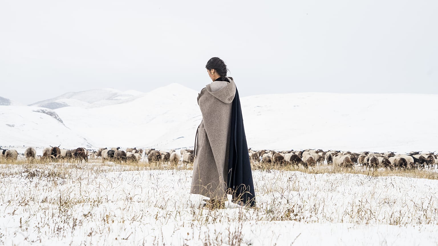 The 100% Yak khullu collection