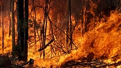 Αυστραλία: Έκκληση του πρωθυπουργού για οικονομική βοήθεια