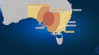 Gli animali sono le prime vittime degli incendi australiani
