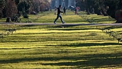 Temperatures reached  14 degrees celcius in areas of Romania last month.