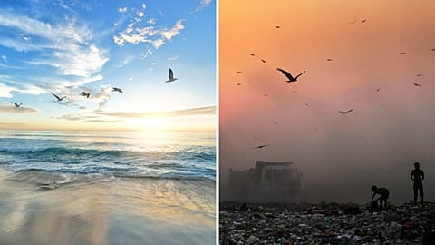 WATCH | CES unveils tech-driven solutions to increasing air pollution