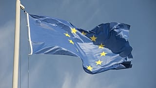 EU FLAG 