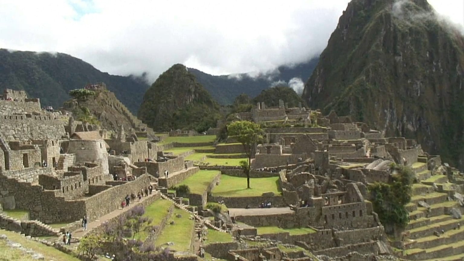 Un millón de árboles para salvar al Machu Picchu del cambio climático